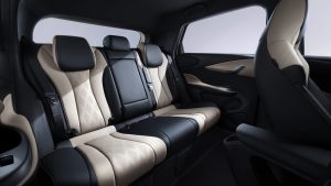 BYD_DOLPHIN_44.9 kWh_Boost_interior